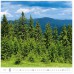 forest h171 006